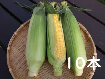 とうもろこし10本