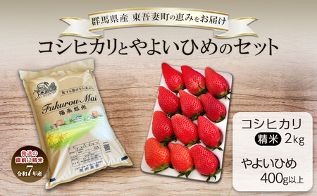 コシヒカリ 2kg と やよいひめ 1トレー(400g以上)セット お米 白米 ライス ご飯 ブランド米 銘柄米 お弁当 おにぎり いちご ストロベリー 果物 くだもの フルーツ 群馬県 東吾妻町