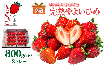 �y�����p�z��悢�Ђ� 2�g���[�i800g�ȏ�j ������  �X�g���x���[ �ʕ� �������� �t���[�c �M�t�g �v���[���g �Q�n�� ����Ȓ�