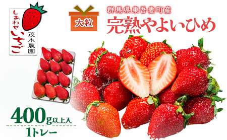 [贈答用]やよいひめ 1トレー(400g以上) いちご ストロベリー 果物 くだもの フルーツ ギフト プレゼント 群馬県 東吾妻町
