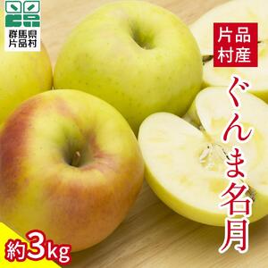 ぐんま名月 りんご 約3kg(片品フルーツ農園)