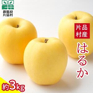 はるか りんご 約3kg