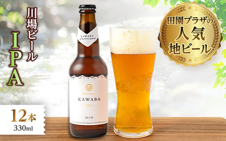 IPA　12本セット_酒・アルコール  ビール _【1446343】