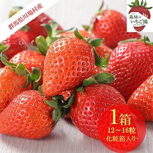 森林の力で育った朝摘みいちご1箱 [12〜16粒入り][配送不可地域:離島・北海道・沖縄県・中国・四国・九州]