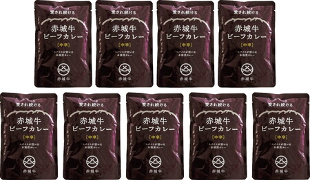 【愛され続ける】赤城牛ビーフカレー 中辛（9個）  カレー レトルト
