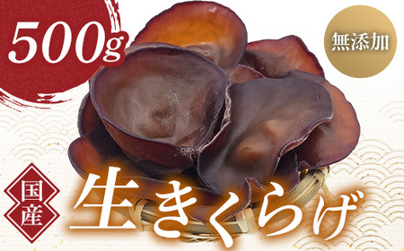 QnY 炰 (񂫂炰) 500g Y _ Y