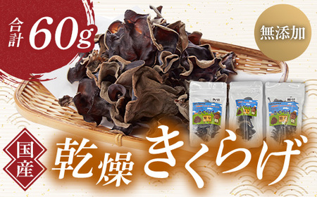 QnY 炰 (񂫂炰)Zbg 60g Y _ Y
