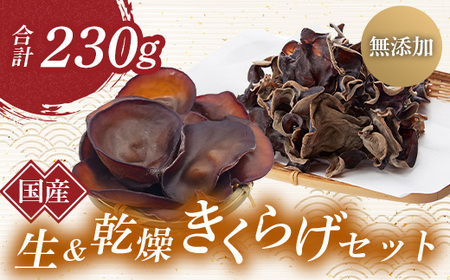 QnY  炰Zbg (񂫂炰) Y _ Y