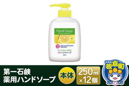 第一石鹸 薬用ハンドソープ 本体 250ml×12個