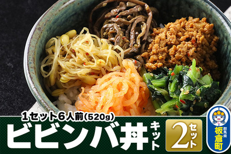 ビビンバ丼キット 2セット 合計12人前(1セット6人前:520g)