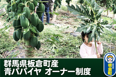 群馬県板倉町産 青パパイヤ オーナー制度