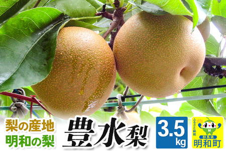 梨（豊水）3.5kg【9月上旬～9月中旬にお届け】