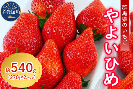 [先行受付]※4月より順次発送※ いちご「 やよいひめ 」約270g×4パック 群馬県 千代田町 [斉藤いちご園]大粒 完熟収穫 大容量 とれたて 新鮮 送料 無料 数量 限定 甘い 豊かな 香り 贅沢 ご褒美 イチゴ ストロベリー 贈答 贈り物 ギフト プレゼント 家族 で 楽しむ フルーツ