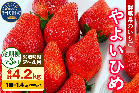 [3ヶ月定期便] いちご「 やよいひめ 」約350g×4パック 群馬県 千代田町 大粒 完熟収穫 大容量 とれたて 新鮮 送料 無料 数量 限定 甘い 豊かな 香り 贅沢 ご褒美 イチゴ ストロベリー 贈答 贈り物 ギフト プレゼント 家族 で 楽しむ フルーツ