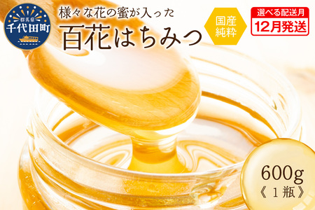 [2025年12月発送] はちみつ [千代田町の蜂蜜]600g 百花蜂蜜 群馬県 千代田町 [田代養蜂場]※沖縄・離島配送不可