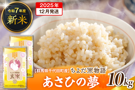 2025N12蔭 yߘa7NxYz QncY Ђ̖ 10kg(5kg×2) ()