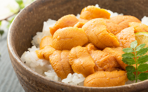 【令和8年発送先行予約】塩水うに 80g×1パック