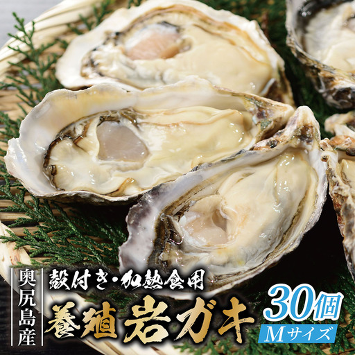 【先行予約 2025年7月20日より発送】奥尻島産養殖岩ガキ【Mサイズ】殻付き　30個入り（加熱食用）～豊かな海が育てた海の宝石～ 