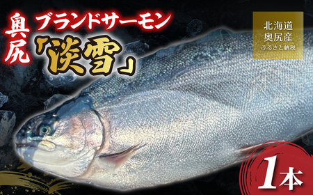 [令和8年度分先行予約]奥尻ブランドサーモン「淡雪」1本