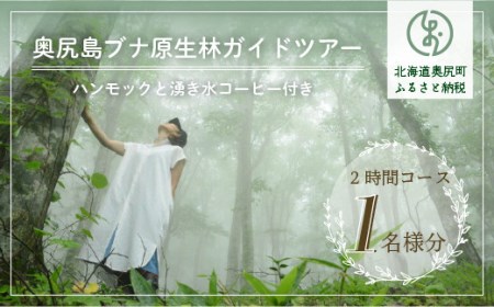 奥尻島ブナ原生林ガイドツアー 1名様分(ハンモックと湧き水コーヒー付き 2時間)