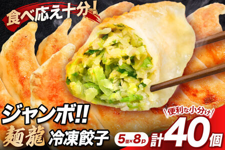 冷凍餃子8人前(計約1720g) [もちもち モチモチ 中華 惣菜 点心 餃子 ぎょうざ ギョウザ ギョーザ 野菜たっぷり 食べ応え 群馬県]