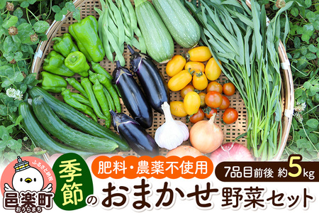 自然栽培 春夏 季節のお任せ野菜セット Lサイズ