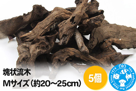塊状流木 Mサイズ(約20〜25cm)5個