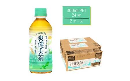 u 300mlPET×24{×2@y11100-0541z