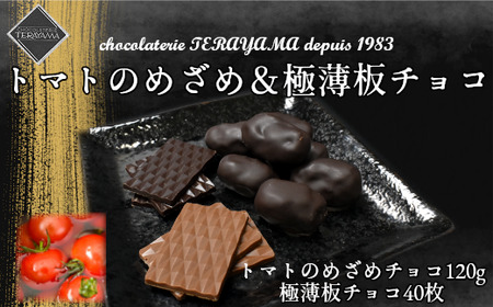 チョコレート詰合せ(極薄板チョコ+トマトのめざめ) [11100-0552]