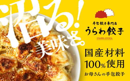 うらわ餃子 レギュラー10個・バジル&チーズ10個セット [11100-0725]