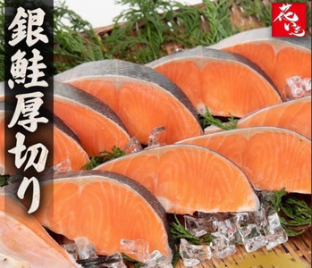 [市場食堂 花いち]銀鮭厚切り 切り身 1キロ [11100-1911]