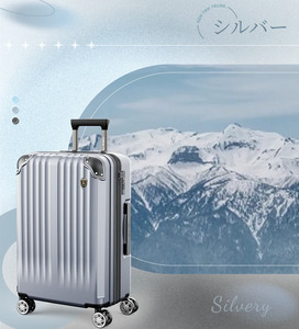 NEWTRIP0201p　スーツケース　シルバー　Sサイズ　【11100-2019】