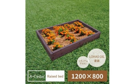 レイズドベッド W1200×D800×H178 [11100-0342]
