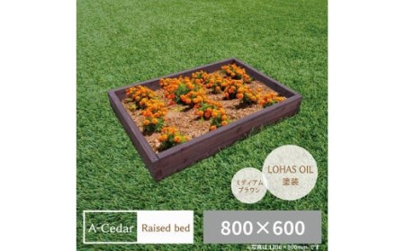 レイズドベッド W800×D600×H178 [11100-0336]