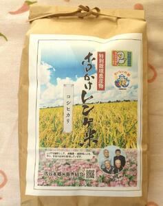 [令和6年度産]ホロかけレンゲ米 特別栽培米 5kg(コシヒカリ) / 無農薬 おこめ コメ 埼玉県