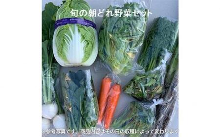 旬の朝どれ野菜おまかせセット / やさい 朝採れ 埼玉県