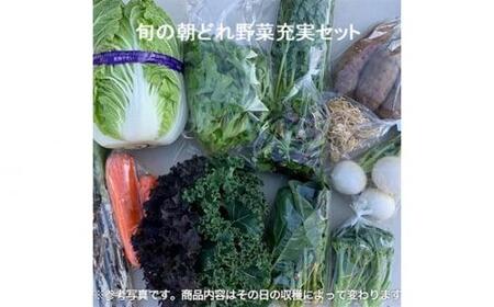 旬の朝どれ野菜充実おまかせセット / やさい 朝採れ 埼玉県