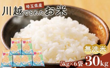 ā@złƂꂽā@30kg ^  Ђ ʂ̂ ʂ̂₫ Rރuhā@ʌ