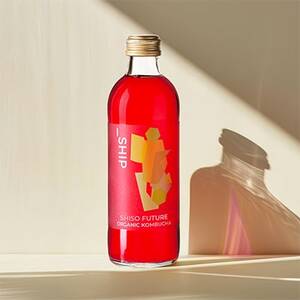 _SHIP KOMBUCHA SHISO FUTURE V\t[`[ (300ml×12{)yzsnFzy1148440z