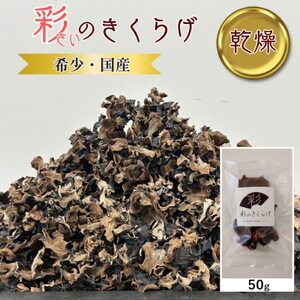 彩のきくらげ 乾燥きくらげ50g 埼玉県産