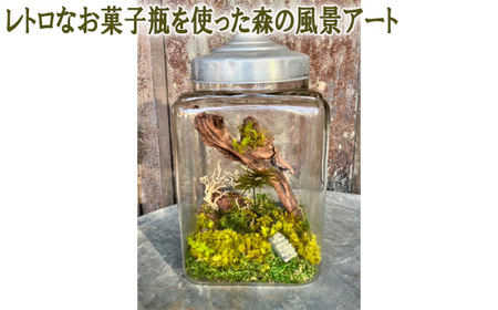 レトロなお菓子瓶を使った森の風景アート