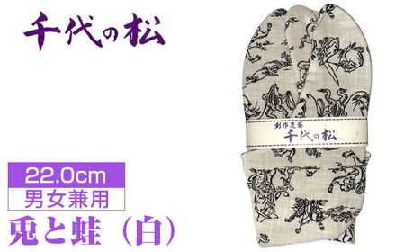 No.398-01 兎と蛙(白)(男女兼用:22.0cm)