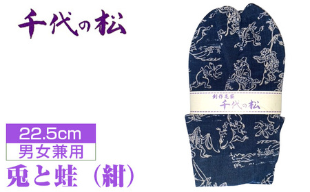 No.399-02 兎と蛙(紺)(男女兼用:22.5cm)