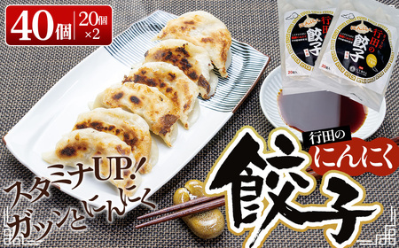 行田のにんにく餃子 2袋セット