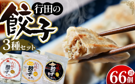 人気の定番「行田の餃子」3種セット