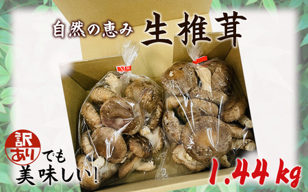 No.468 󂠂łIŘbݐő1.44kg