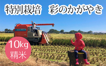 No.480 ʍ͔|@ʂ̂₫@10kg