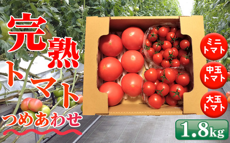トマト いろいろ詰合せセット 1.8kg入り箱 / とまと 野菜 新鮮 完熟 ミニ 中玉 大玉 3種類 詰め合わせ セット 食べ比べ 産地直送 農家直送 サラダ 行田市産 埼玉県 特産 No.508