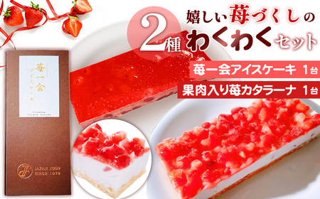 嬉しい苺づくしの2種わくわくセット / 苺 アイスケーキ カタラーナ 果肉入り デザート 冷凍 解凍不要 お手軽 ご褒美 スイーツセット 埼玉県 No.516