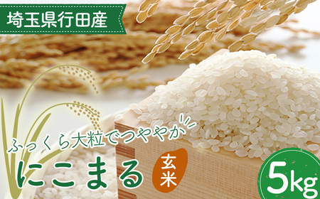 埼玉県行田産にこまる(玄米)5kg×1 / にこまる 玄米 5kg 特別栽培米 大粒 米 甘み 粘り 冷めても美味しい お弁当 おにぎり 毎日食べる米 健康志向 食感 粒立ち 埼玉県 No.518